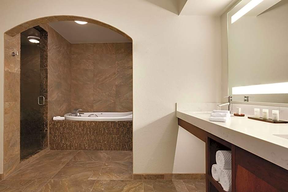 Embassy Suites by Hilton Scottsdale Resort