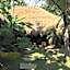 La Cabane