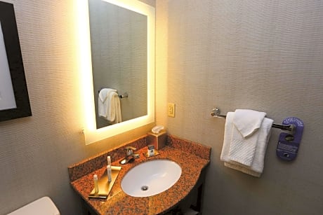 2 Double Beds Mobility/Hearing Accessible Room Roll-In Shower Non-Smoking