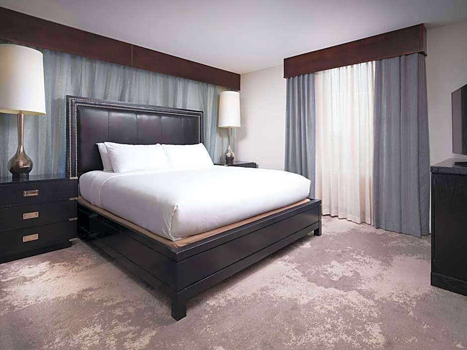 DoubleTree by Hilton Hotel Chattanooga Downtown