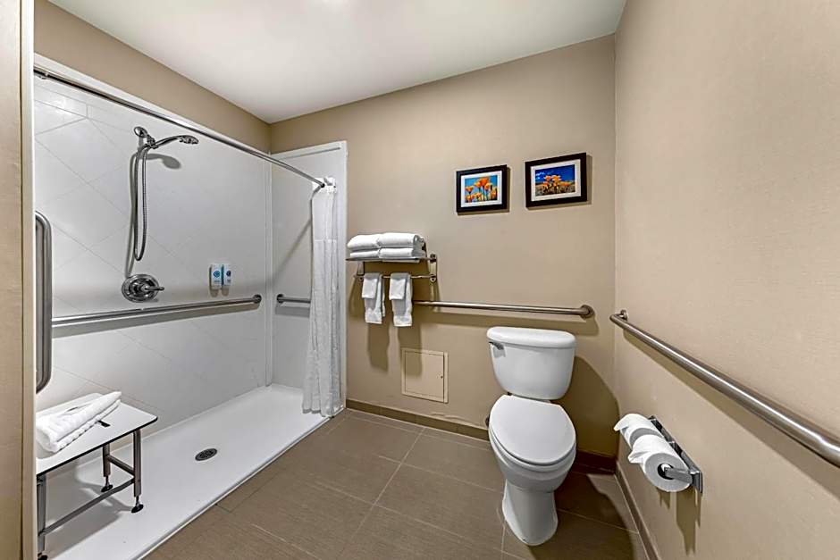 Comfort Suites Ontario Convention Center