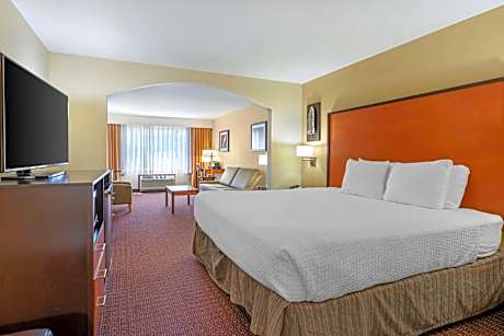 Suite-1 King Bed Non-Smoking Sofabed For One Person Microwave And Refrigerator Wi-Fi Full Breakfast