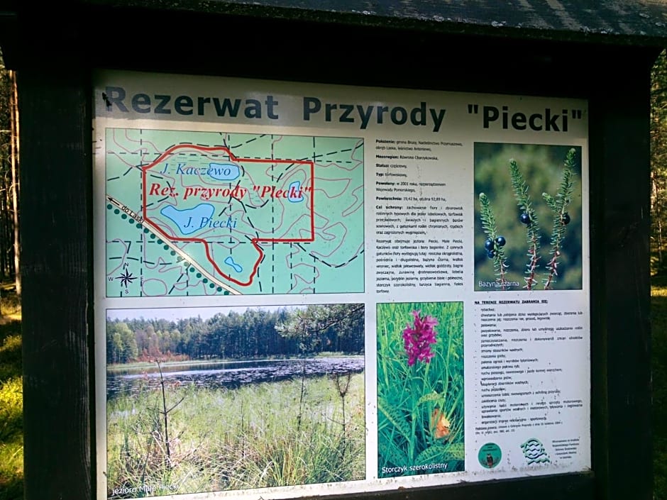 Hubertówka Czapiewice