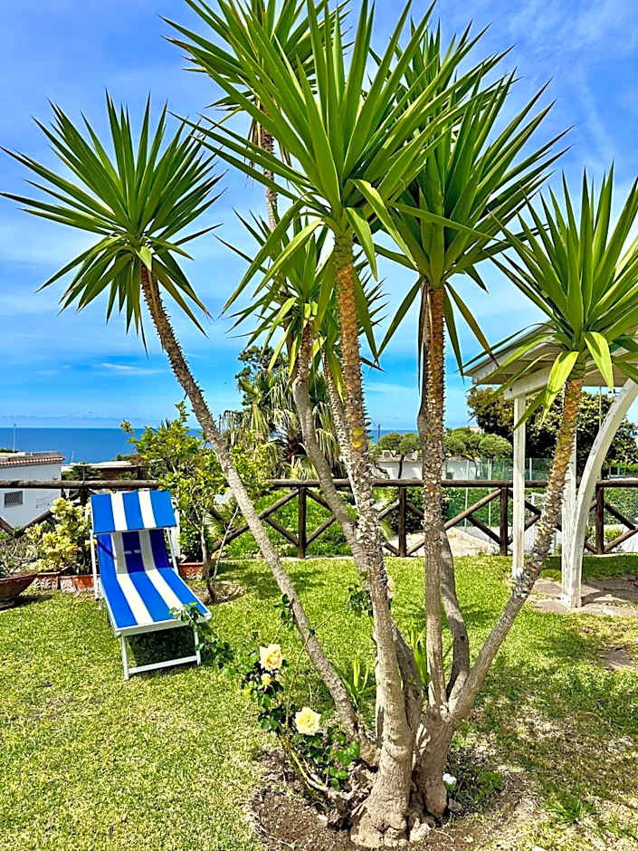 Hotel Boutique Ideal