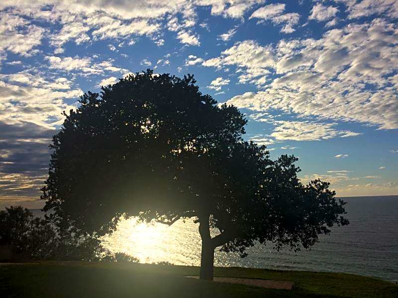 The Milkwood Beach Apartments