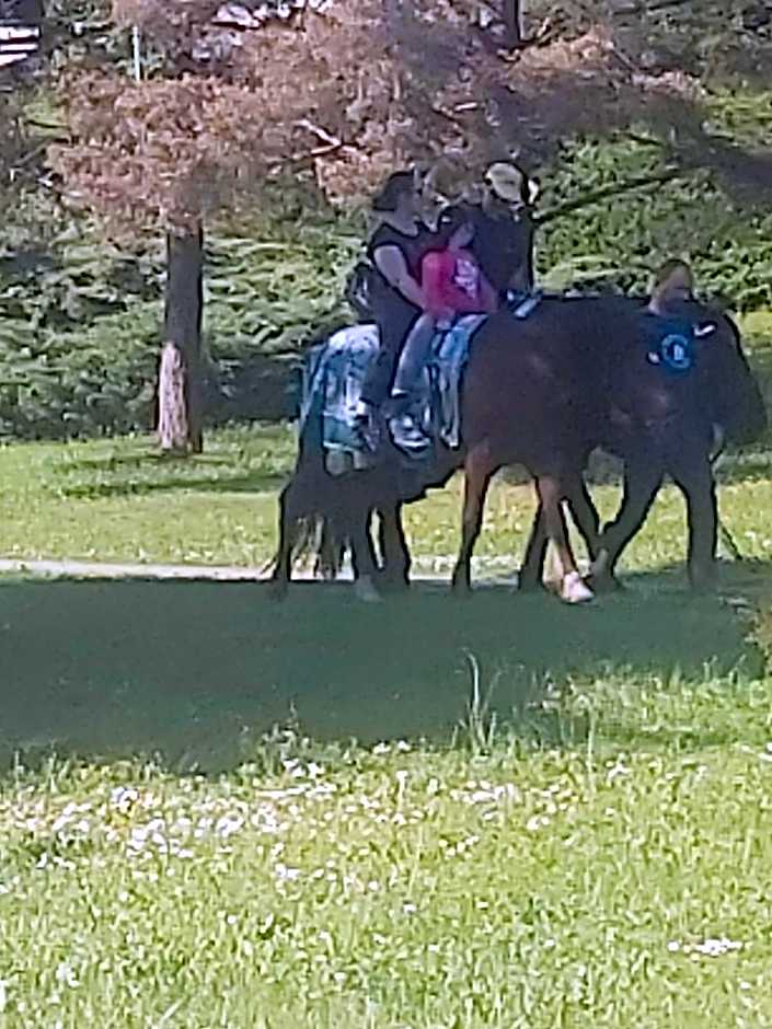 Chata nad kúpaliskom