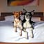 Grand Hyatt Denver