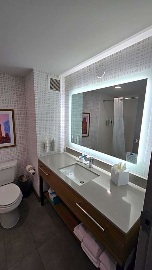 Hampton Inn By Hilton & Suites Chicago Deer Park