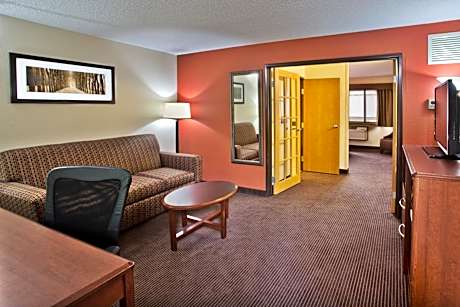 1 King Bed, Sofa Bed, One-Bedroom Suite, Non-Smoking