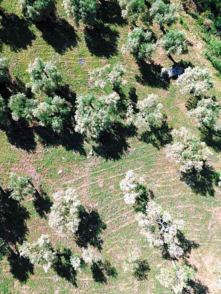 L'Ottava Goccia Country House