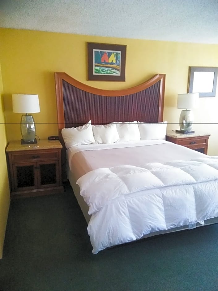 The Springs Hotel and Spa