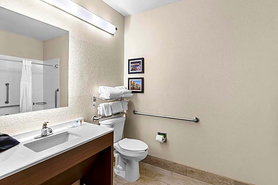Comfort Suites Mobile East Bay