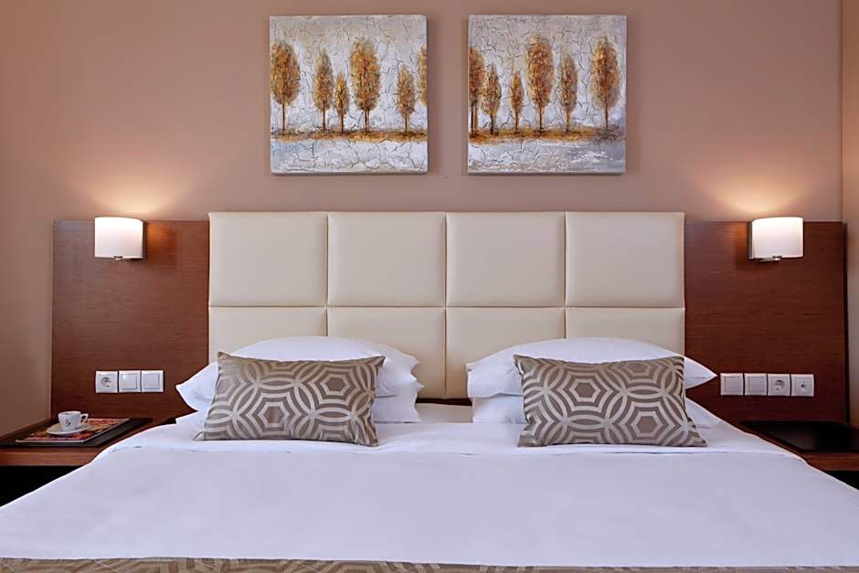 Aar Hotel & Spa Ioannina