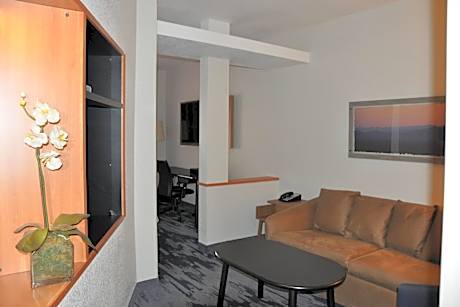 King Studio with Sofa Bed