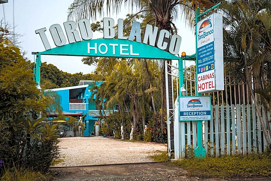 Toro Blanco