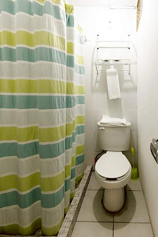 Satya Suites & Portal San Angel Flats