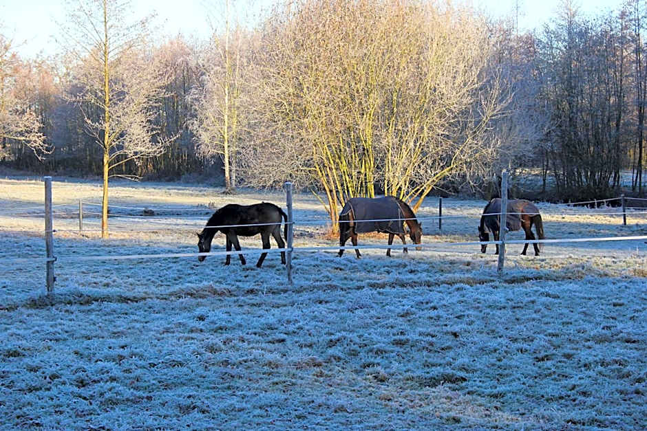 B&B Landgoed Bergerven
