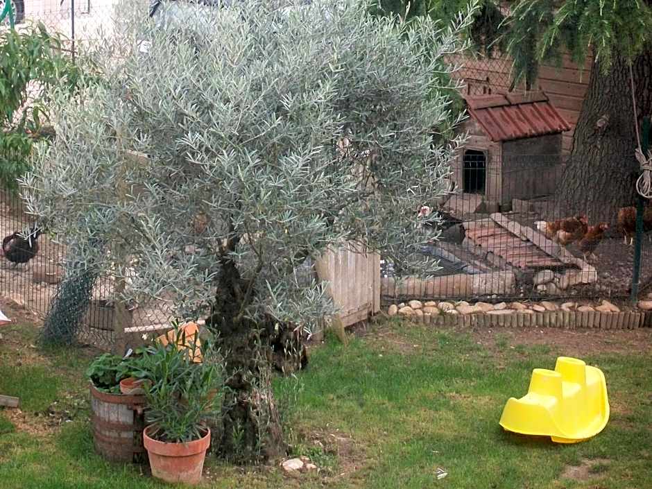 La Grange des Griottiers