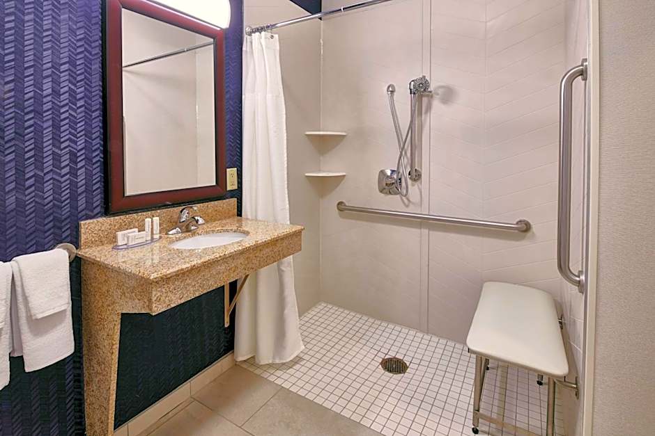 Fairfield Inn & Suites by Marriott Detroit Livonia