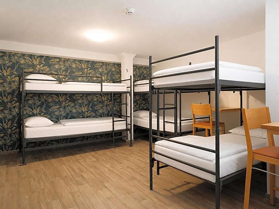 King's Inn City Hostel Alkmaar