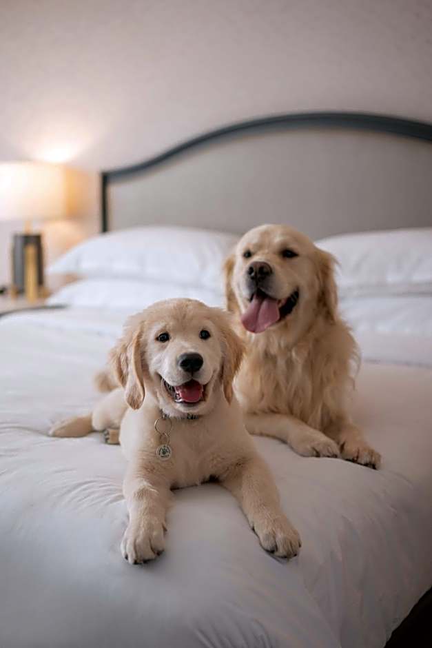 Sheraton Montreal Airport Hotel