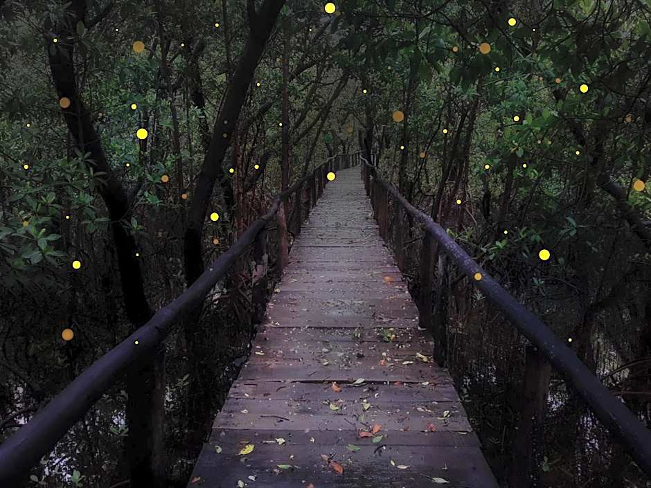 Hospedaje Wotoch Aayin