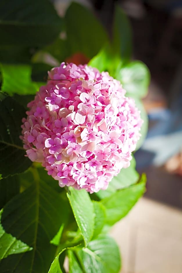 The Beach House At Bayside