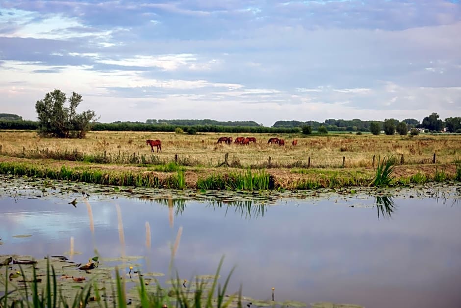 Hajé Nieuwegein