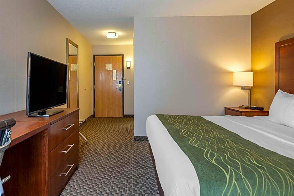 Comfort Inn Charlotte