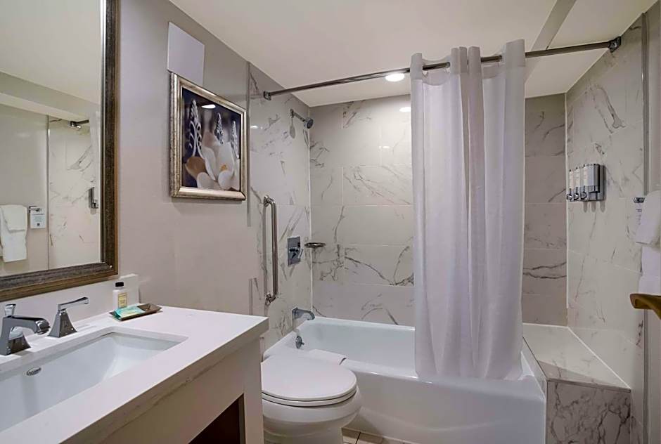 The Royal Sonesta New Orleans