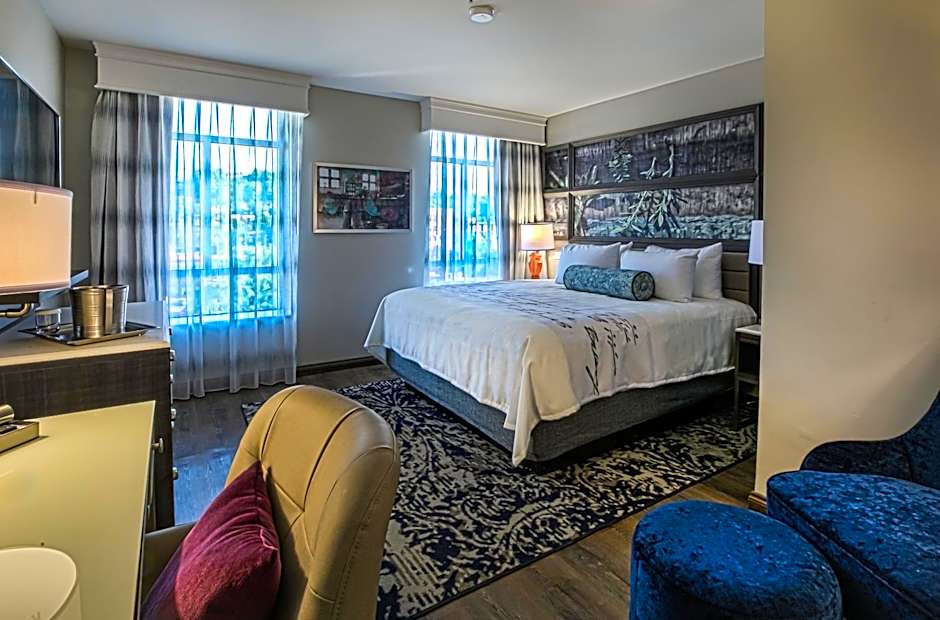Hotel Indigo BIRMINGHAM FIVE POINTS S - UAB By IHG