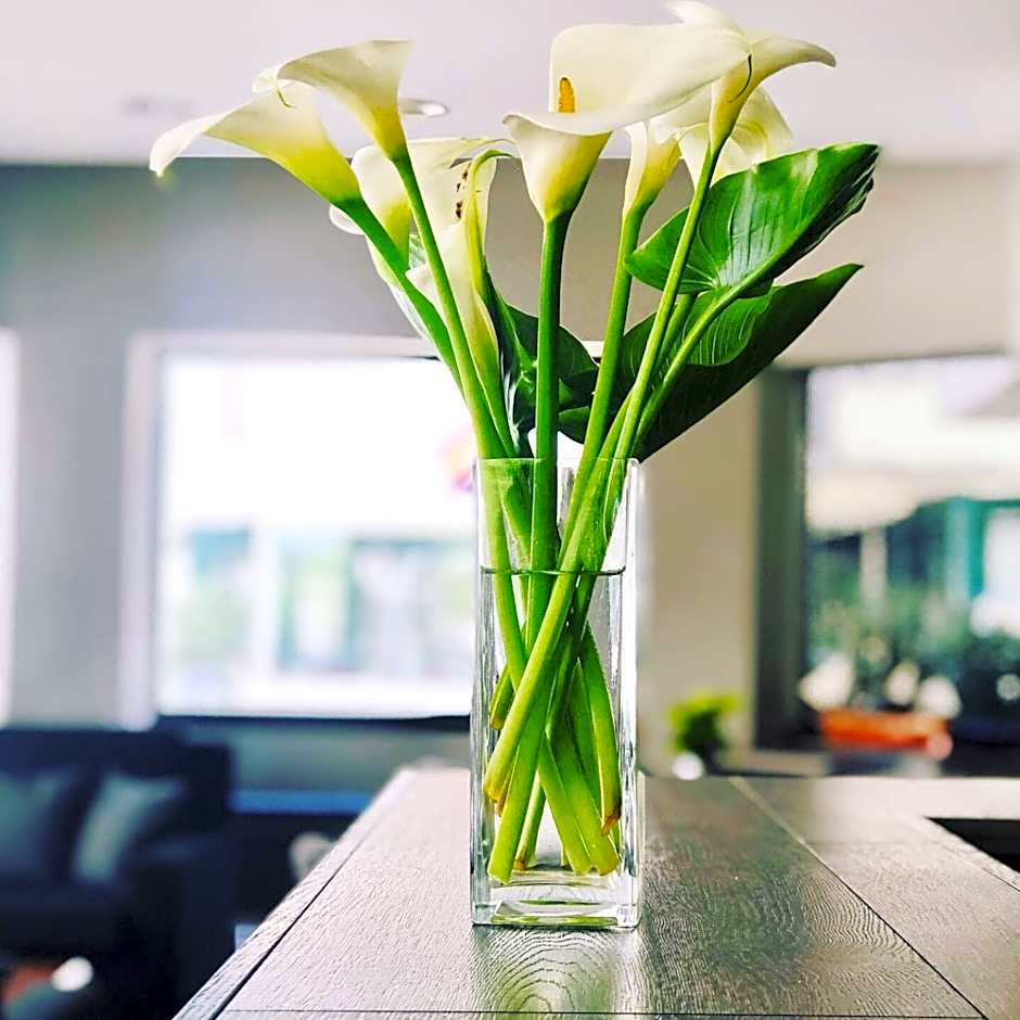 Mediterraneo Hotel & Suites