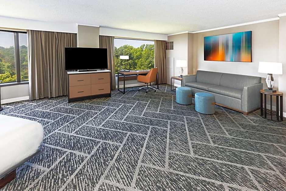 Photo 1 of 5 of Junior 1 King Bed Suite