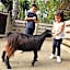 Hotel Selwo Lodge - Animal Park Tickets Included
