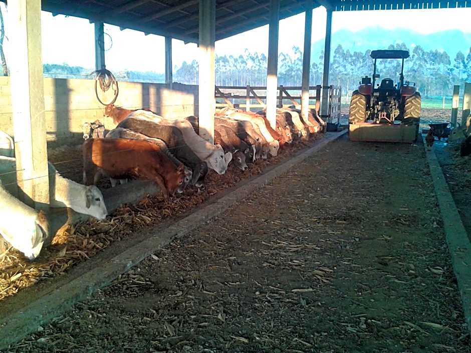 Fazenda Fernandes, pousada, gastronomia e lazer.