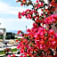 B&B Villa Cristina