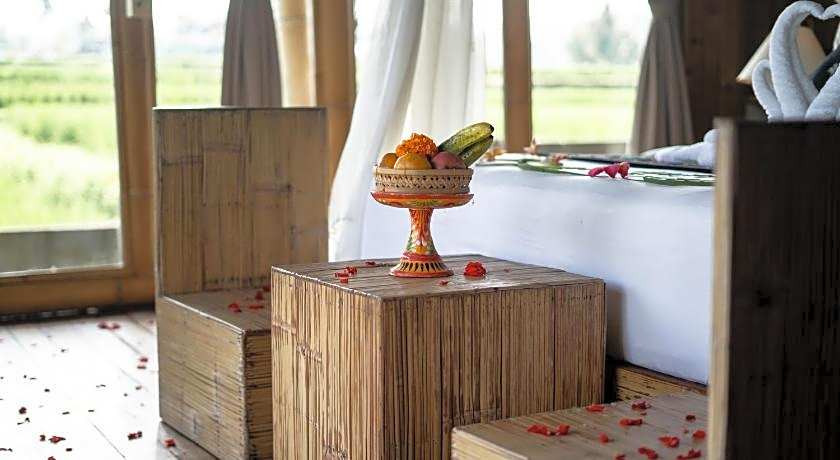 Padi Bali Eco Villas