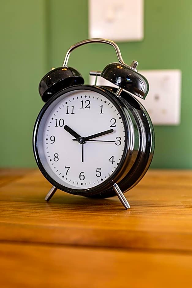 The Town Crier, Tenby