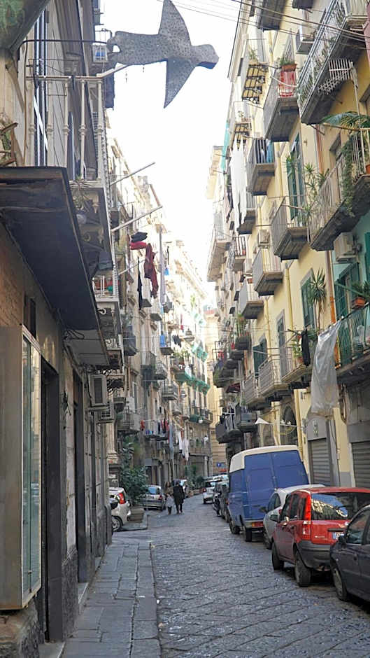 Donna Vicenza Bed & Breakfast