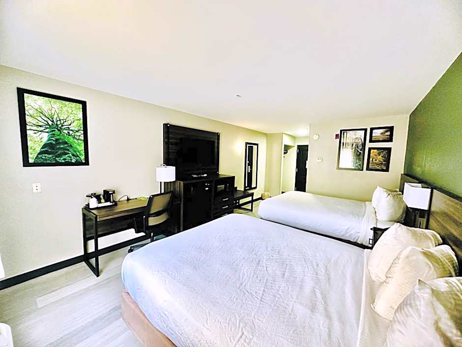 La Quinta Inn & Suites by Wyndham Rome