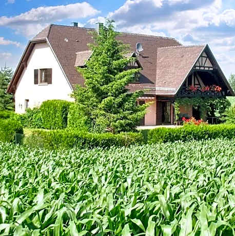 Appartement charmant à Hochfelden - 100 m² et parking gratuit