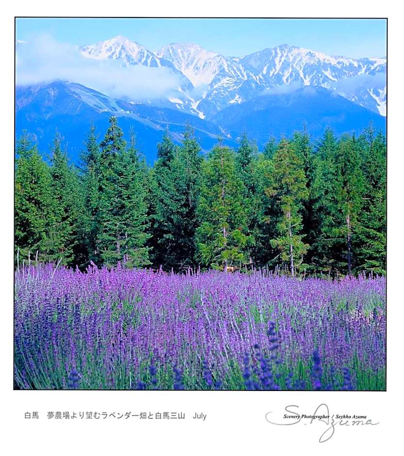 Hotel Montblanc Hakuba