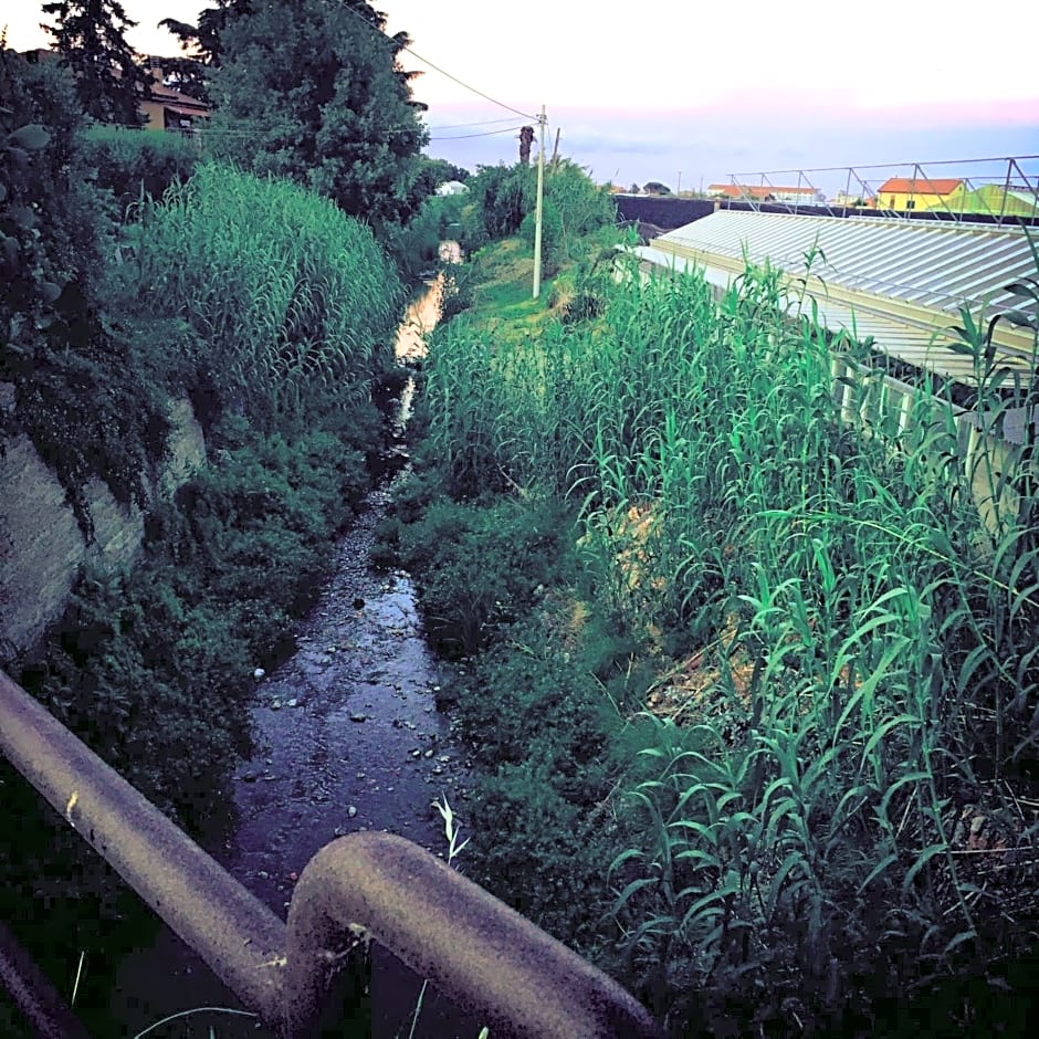 La Gallina Nel Castello