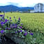 Yilan Real Fun Homestay