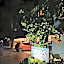 Amos Pili Tree Inn powered by Cocotel