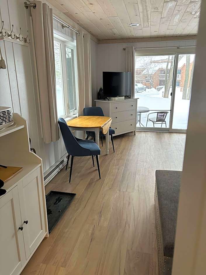 Shanty Creek, Condo, Golf ,Sleeps 4, Pets welcome!