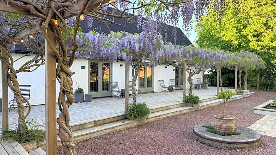 Wisteria Österlen