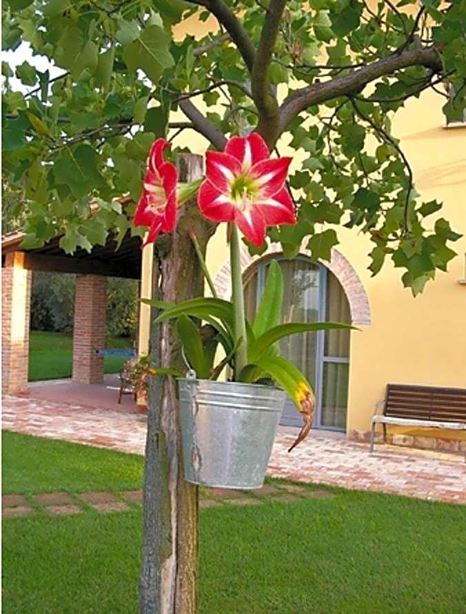 B&B Il Casolare Di Bonci