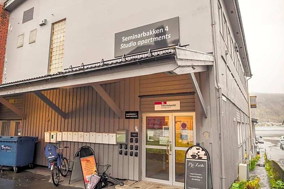 TotalApartments Seminarbakken City Studio