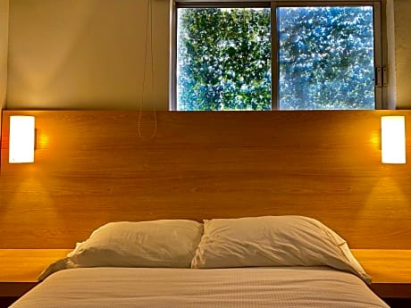 Large Double or Twin Room